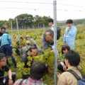 2018年度「北海道ワインアカデミー」の取り組み紹介、事務局からのお知らせ