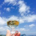 2017年度の北海道ワインツーリズムについて（もう少しお待ちくださいね！）