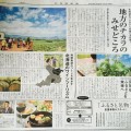 北海道新聞（記事広告）の掲載について